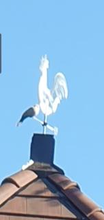 Vodenica DREN - STD Dren - 5