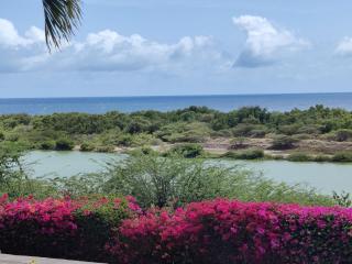 Royal Palm Resort Curacao Geweldig zeezicht - Willemstad - 1