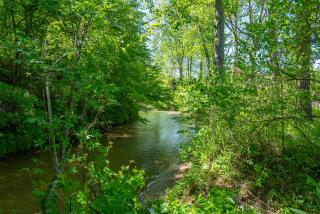 Cozy Cove Cabin Pet Friendly & Creek Access - Marion - 3