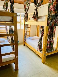 Oasis Cali Hostel - Cali - 4