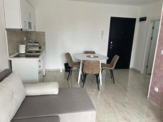Apartman Zivkovic - Veliko Gradište - 4