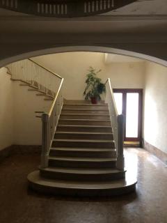 Centro Mar del Plata solo familiar - 6