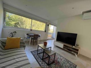 Balcon sur la rivière - 1