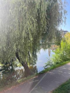 Balcon sur la rivière - 3