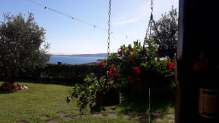La Cerasa - il Lago fuori - Bracciano - 2