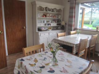 Drumgauty Cottage - Strabane - 4
