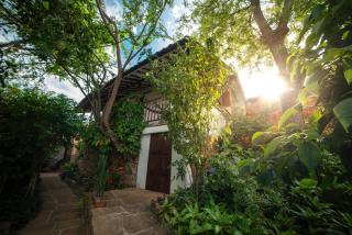 Achiotte by Masaya Collection - 8