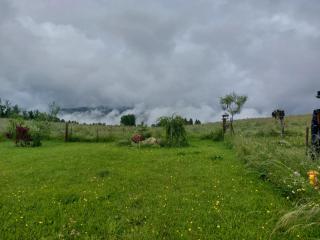 Petit Chalet Nature - Les Rousses - 5