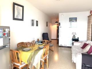 Bel appartement lumineux avec balcon, proche Thermes, 1 chambre, animaux admis, WIFI - FR-1-503-72 - Balaruc-les-Bains - 7