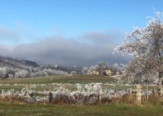 La Vigne, fully modernised farmhouse dated 1882 incl Swimming pool per Aug 2025! - - 7