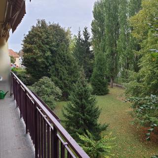 Côté parc - Schiltigheim - 0