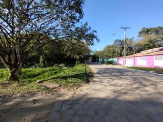 Cantinho do Jardim Secreto - 6