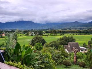 นะลาวิว รีสอร์ท ปัว Nala View Resort Pua - 0