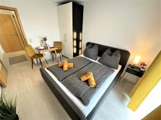 Gemütliches Studio im Bayerwald +POOL +SAUNA +WIFI - Zwiesel - 9