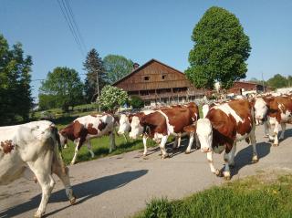 Gite de la Charrière - Montflovin - 7