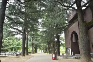 Hotel Montagne Matsumoto - Vacation STAY 82917v - Matsumoto - 1