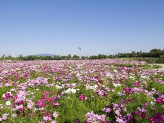 Kuwana Park Hotel - Vacation STAY 66818v - Kuwana - 1