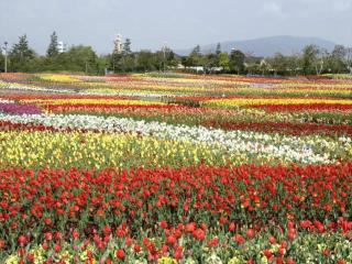 Kuwana Park Hotel - Vacation STAY 66850v - 3