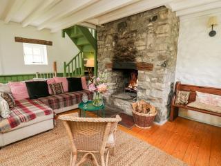 Red Kite Lodge - Llandeilo - 8