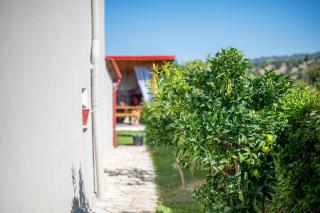 Villa Marina - Kalandra - 5