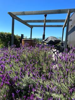 The shed with a view - Mahana - 2