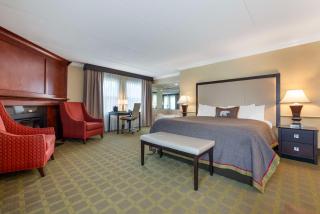 Best Western Plus White Bear Country Inn - White Bear Lake - 7