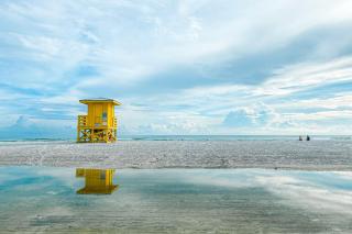Seas the Day - Sarasota - 8