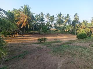 Beach Bungalow - Hambantota - 5