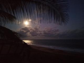 Beach Bungalow - Hambantota - 6
