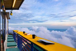 Shalom Backpackers Mussoorie - 9