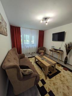 Apartamentul ALFA - Slănic-Moldova - 0