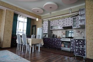 Nice and comfortable apartment in the downtown of Bishkek - 2