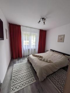 Apartamentul ALFA - Slănic-Moldova - 8