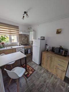 Apartamentul ALFA - Slănic-Moldova - 6