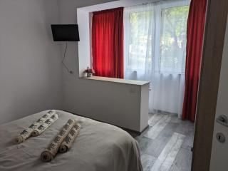 Apartamentul ALFA - Slănic-Moldova - 7
