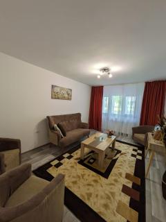 Apartamentul ALFA - Slănic-Moldova - 9