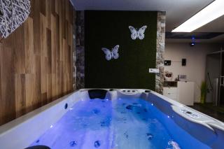 Tanja s Holiday Home in Nature with sauna and hot tub - 9