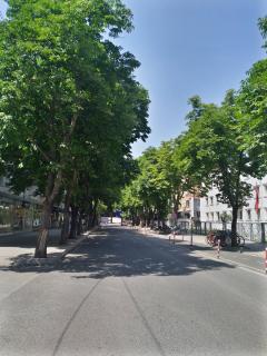 Lovely 11 Rental Ap In Myslym Shyri Tirana - 3