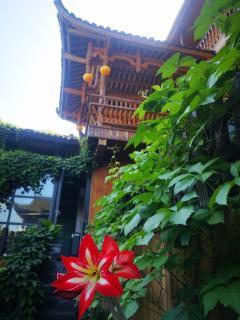 372 Jingjing Home - Yongshun - 4