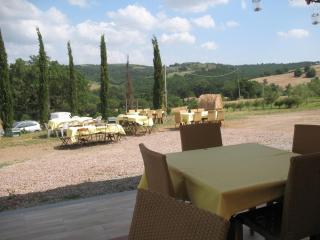 Agriturismo La Steccaia Alta - Paganico - 3