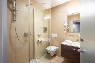 Das Reinisch Hotel - near Vienna Airport - Schwechat - 5