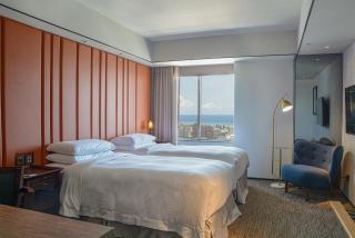 Sheraton Taitung Hotel - Città di Taitung - 7