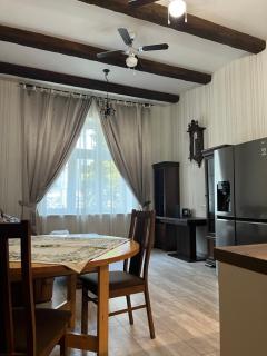 Apartment Carlsbad - Karlovy Vary - 9