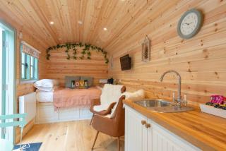 Shepherds Hut with Hot Tub - - 1
