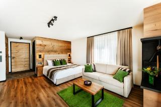 Black Forest Luxury Apartment Bärenhöhle mit Sauna - Schluchsee - 3