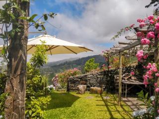 Achadinha - Mountain Cottage - Arco da Calheta - 8