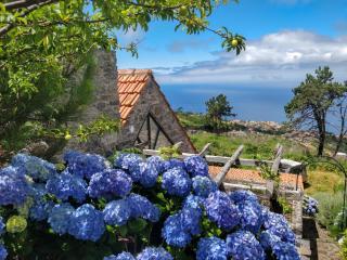 Achadinha - Mountain Cottage - Arco da Calheta - 3