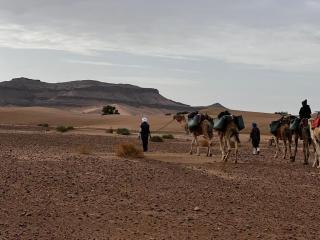 Nomad Desert Treking by Camels - Mhamid - 6