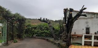 Les Ecrins - Les Mages - 3