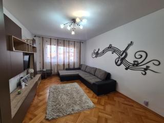 Flavius Apartment Central Sibiu - Sibiu - 0